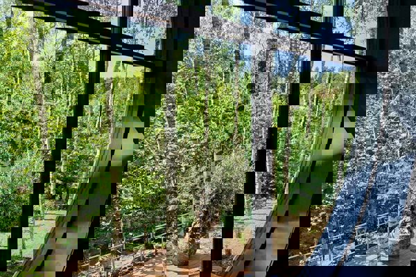 Geometrisk vindue - det bærende element hos vinspecialist