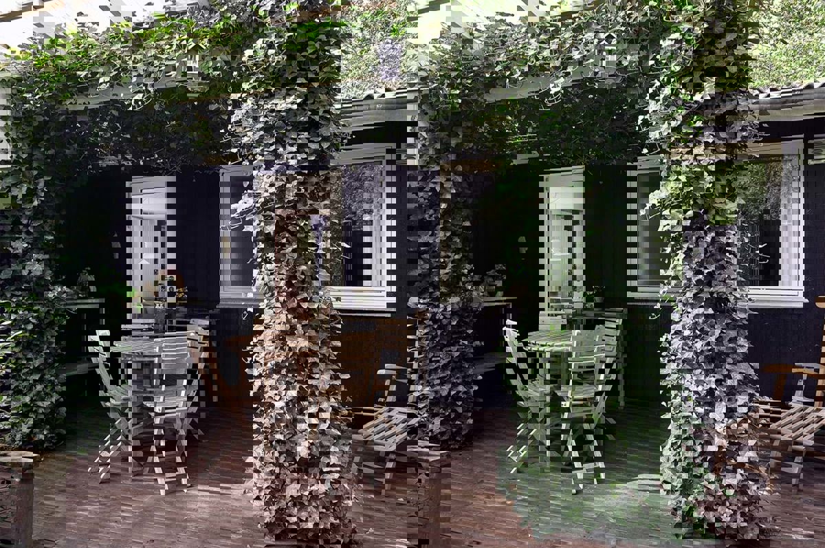 Traehus Vinduer Og Doere