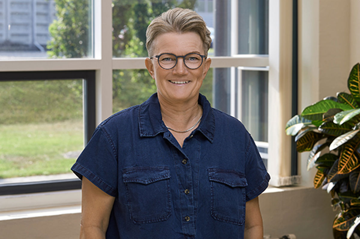 Lisevinter Lisevinter