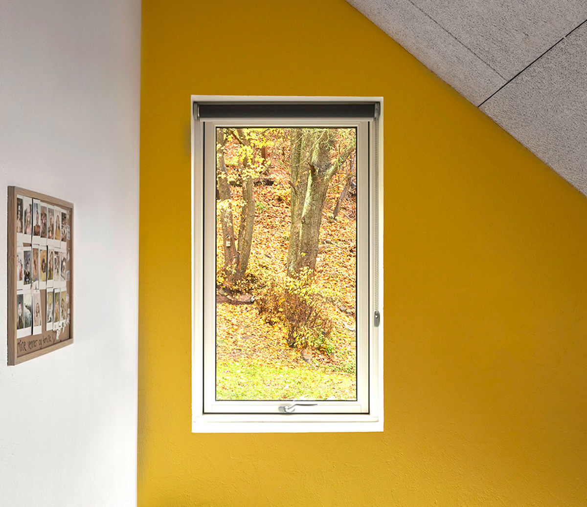 Outline Vindue Web Outline Vindue Web